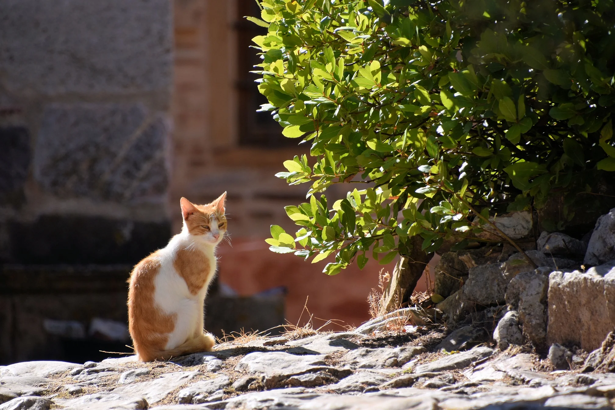 Khios, Greece