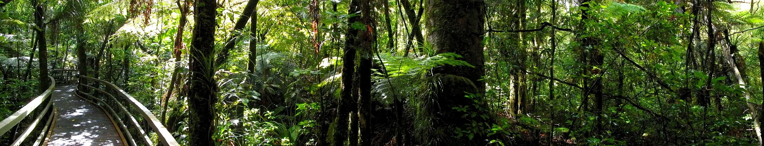 New Zealand