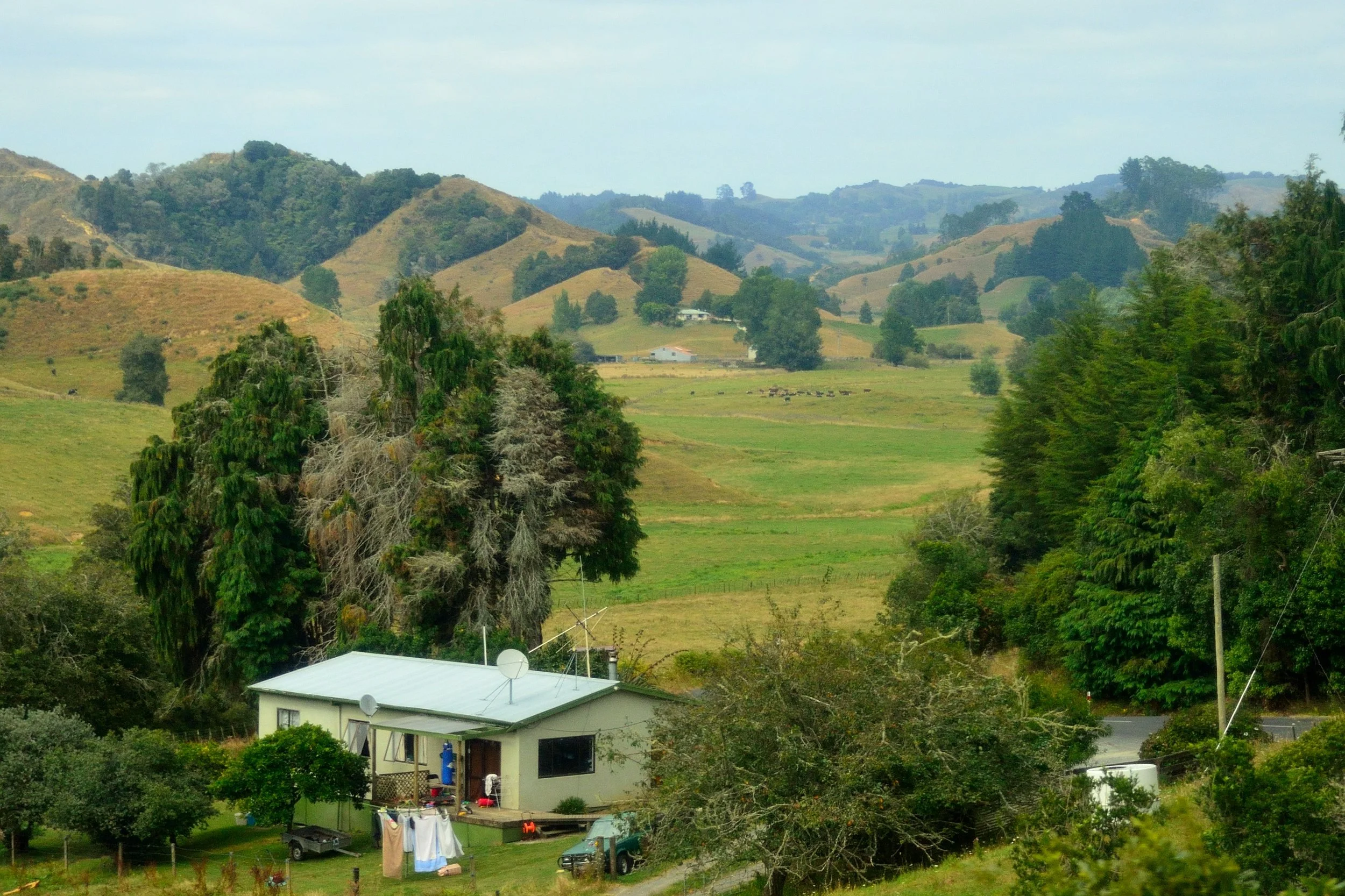 New Zealand
