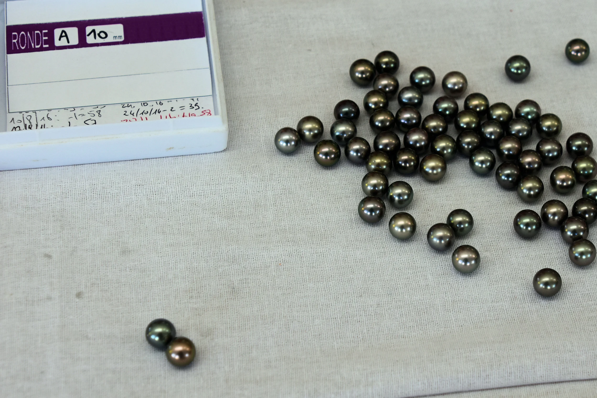 Rangiroa Atoll, French Polynesia