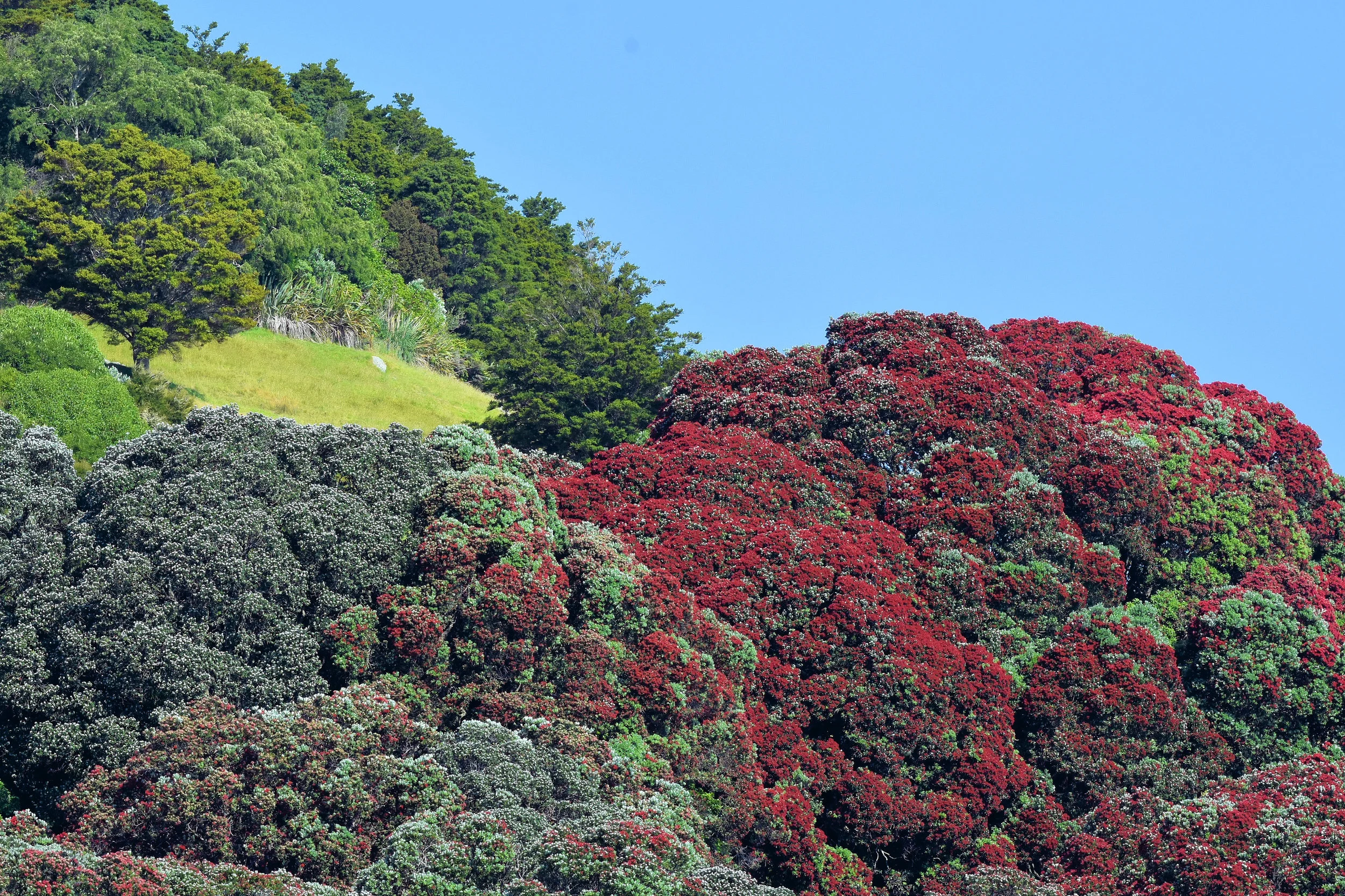 Tauranga, New Zealand