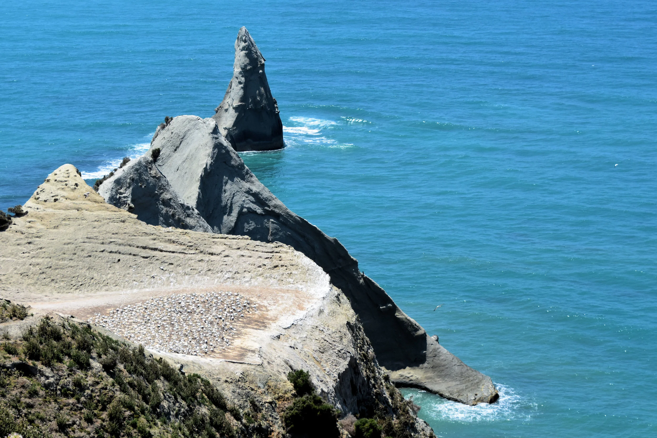 Cape Kidnappers, New Zealand