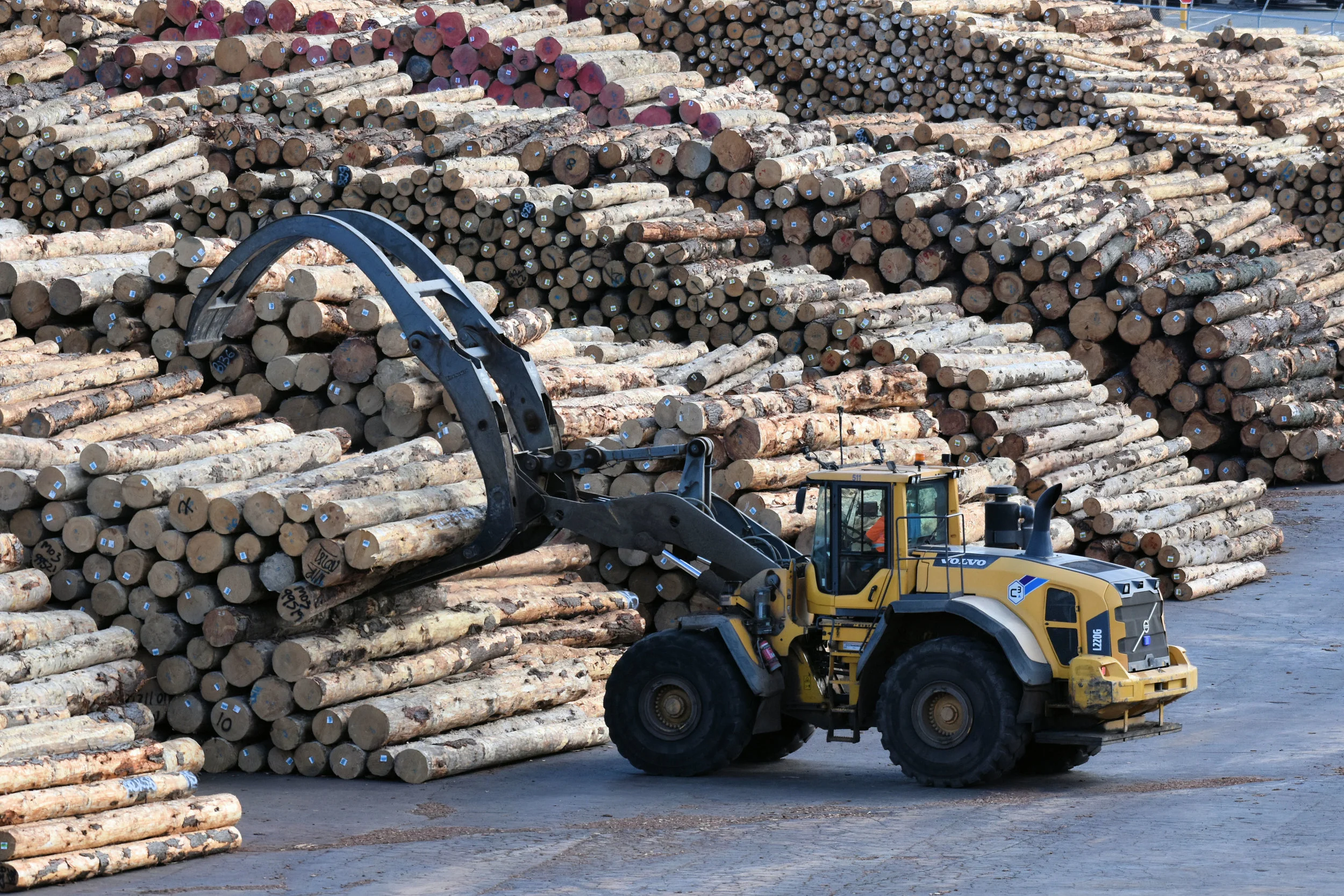 Dunedin, New Zealand