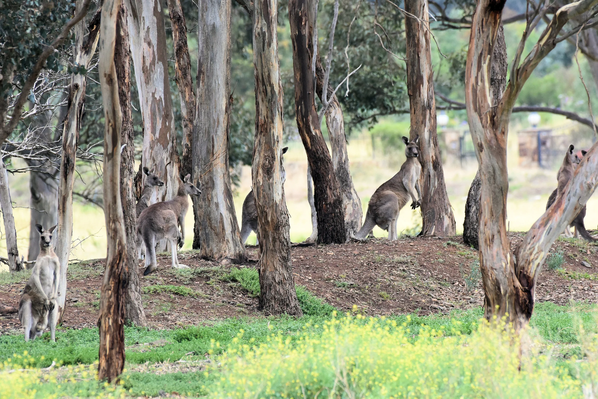 Melbourne, Australia