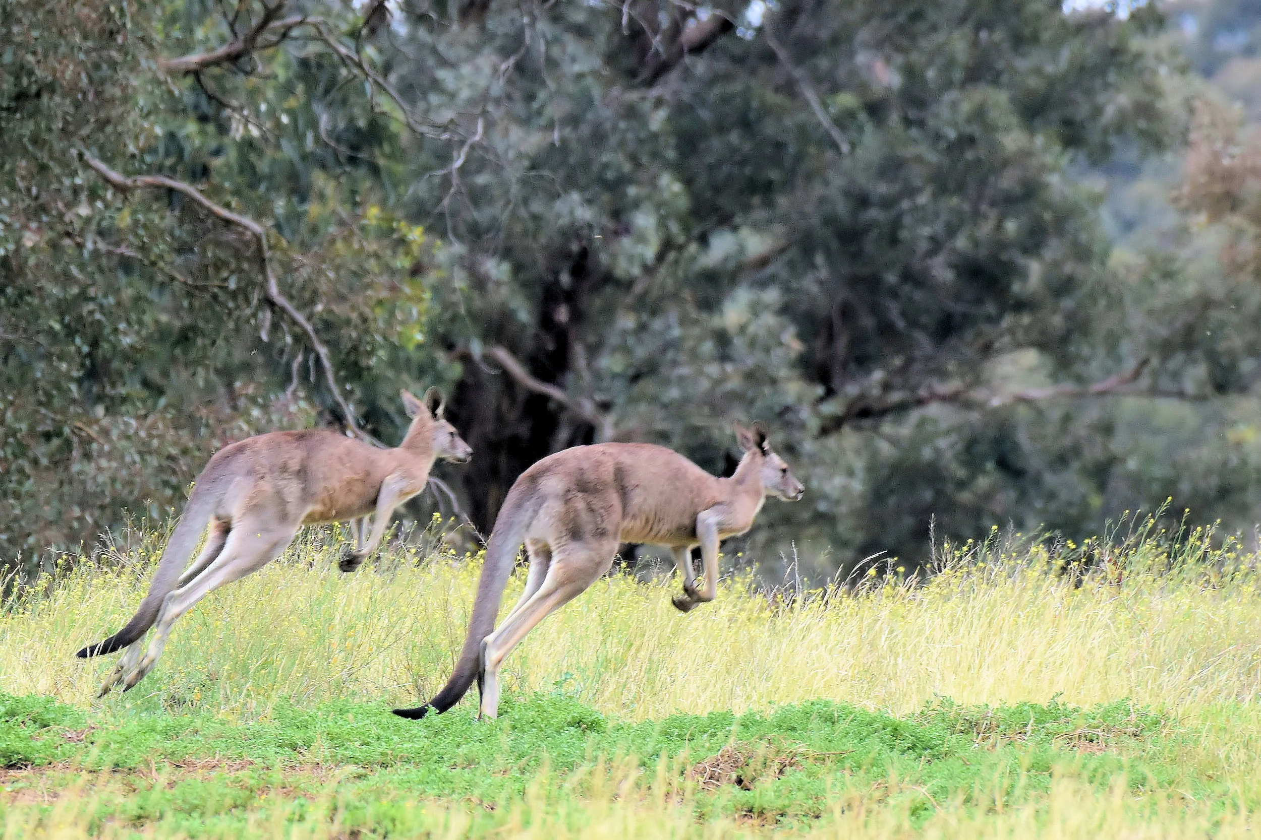 Melbourne, Australia