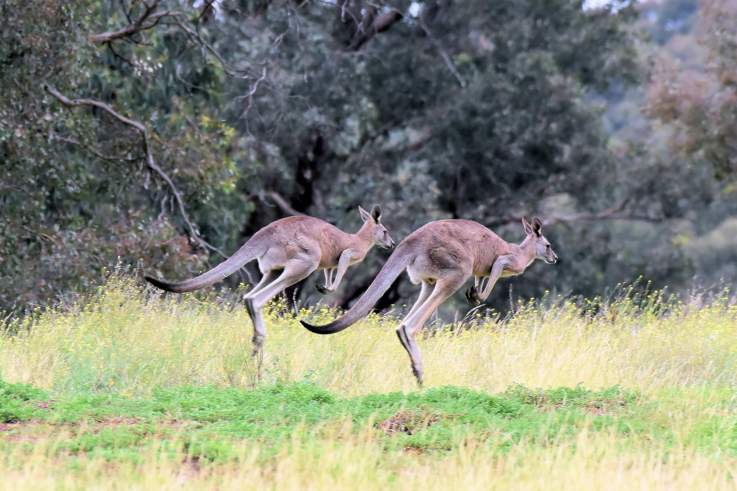 Melbourne, Australia