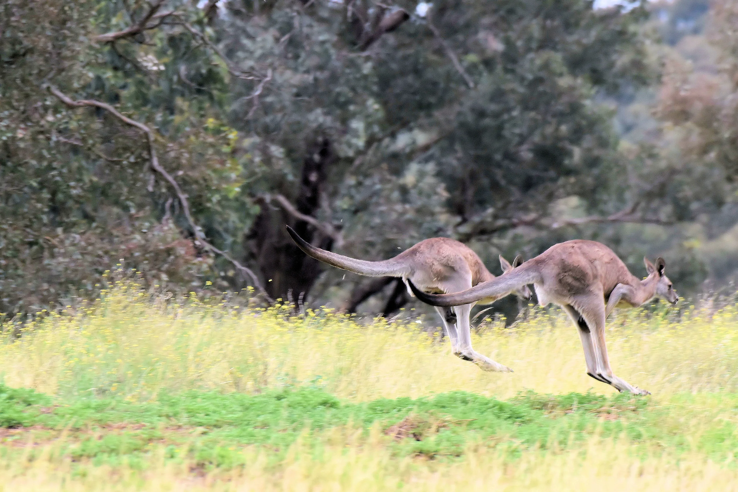 Melbourne, Australia