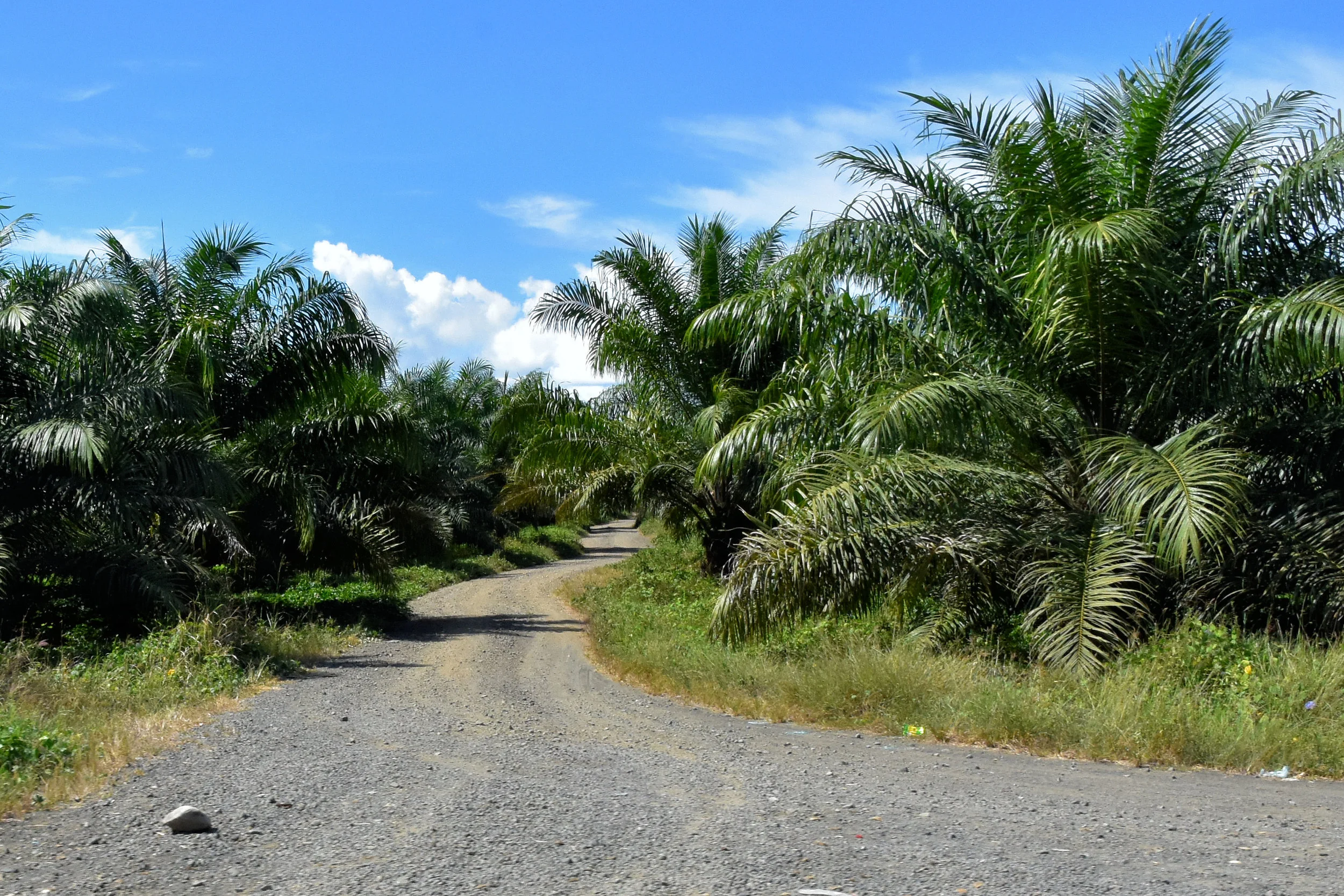 Alotau, Papua New Guinea
