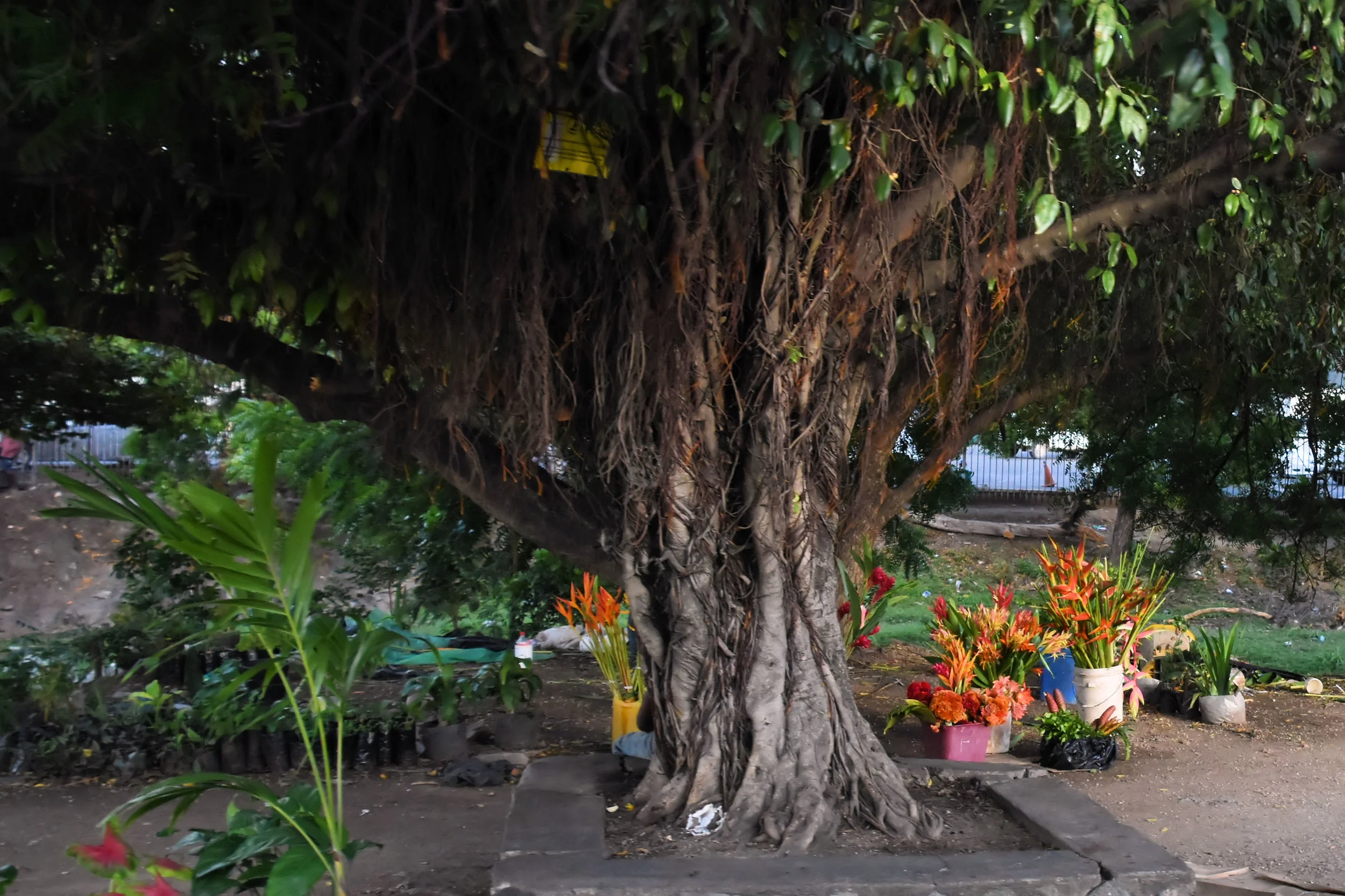 Port Moresby, Papua New Guinea