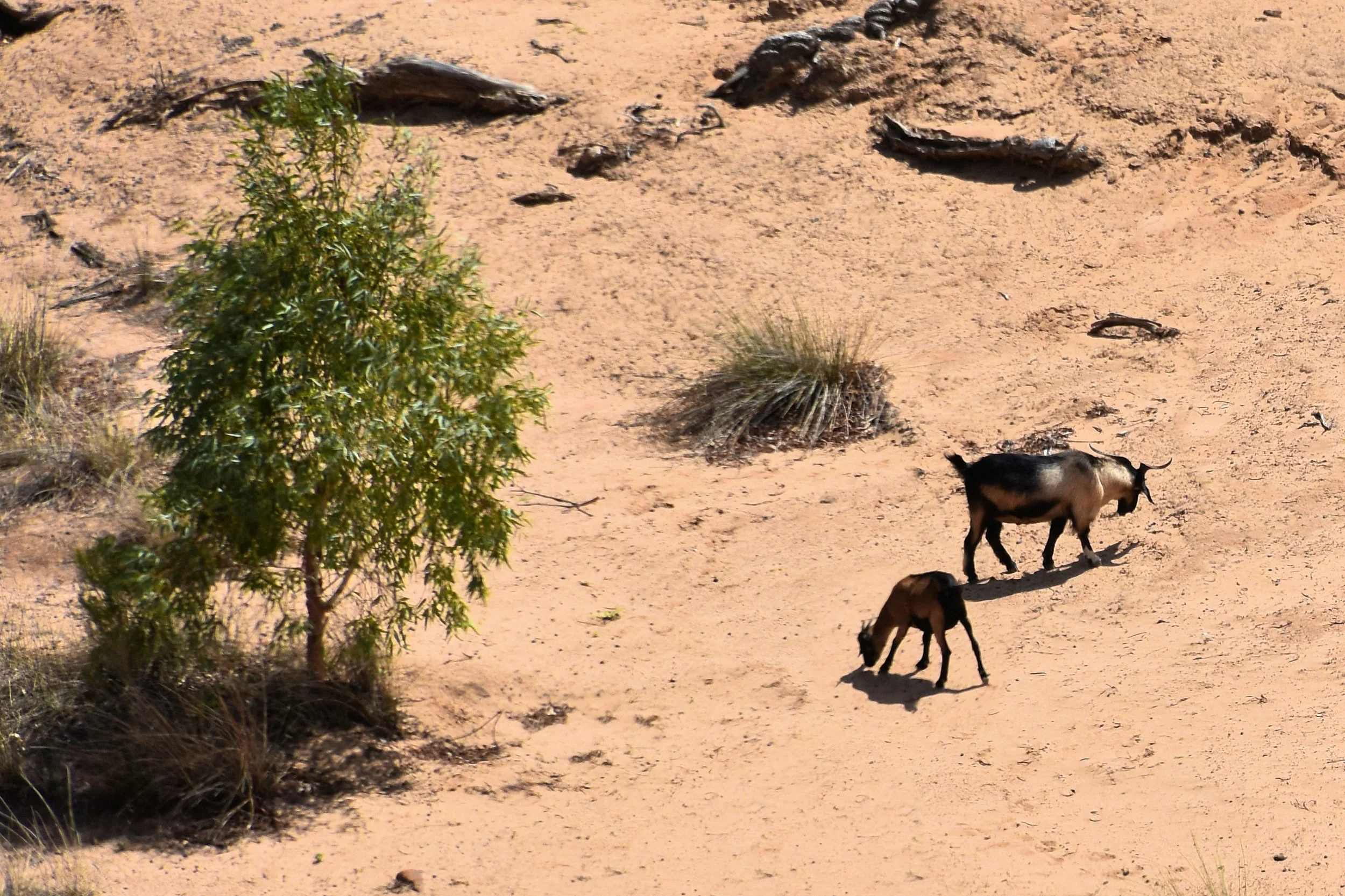 Geraldton, Australia