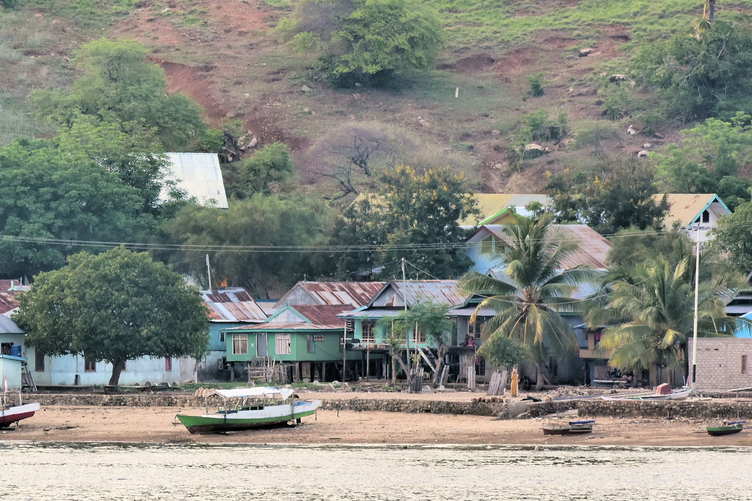 Komodo Island, Indonesia
