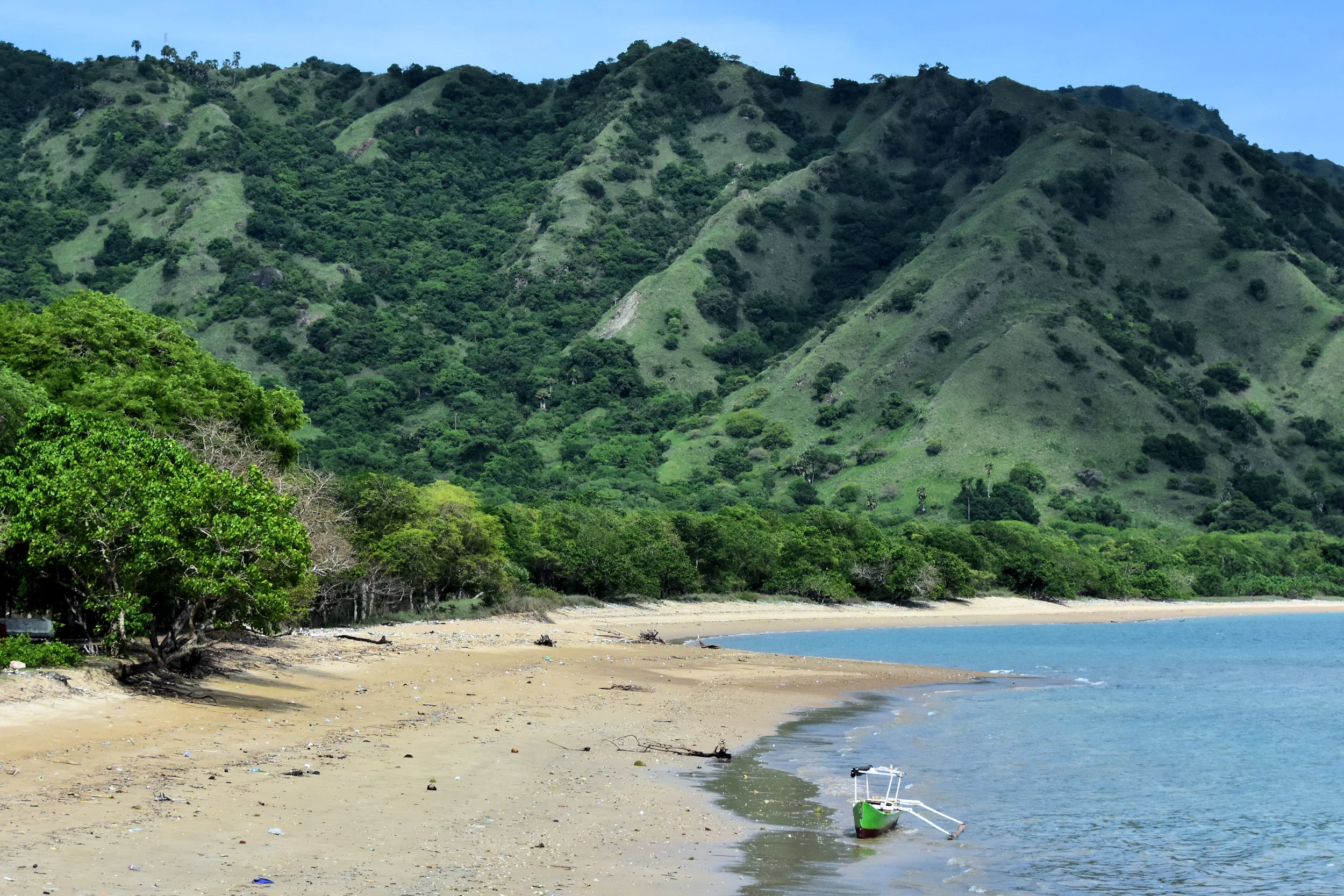 Komodo Island, Indonesia