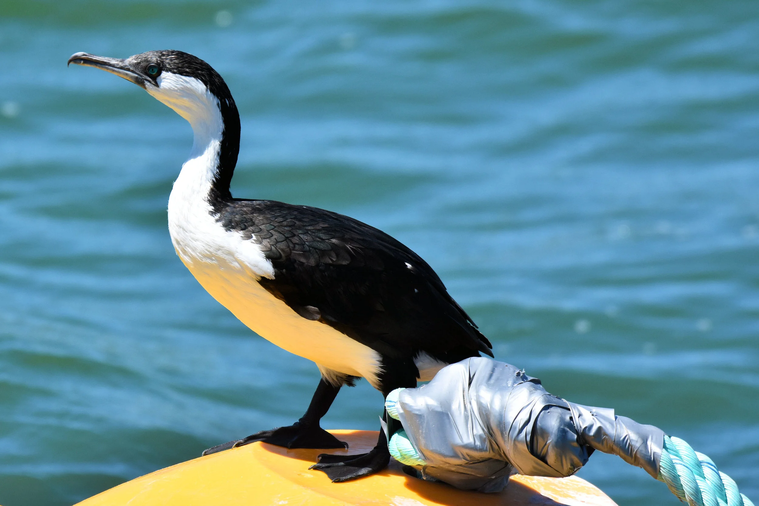Coorong National Park, South Australia