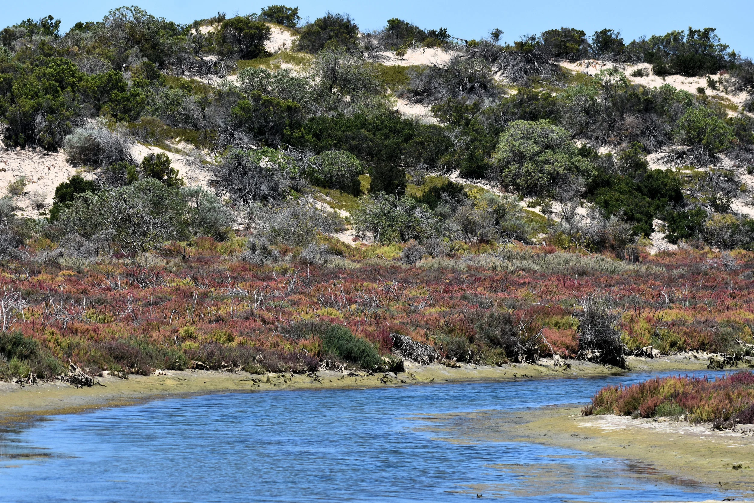 Coorong National Park, South Australia