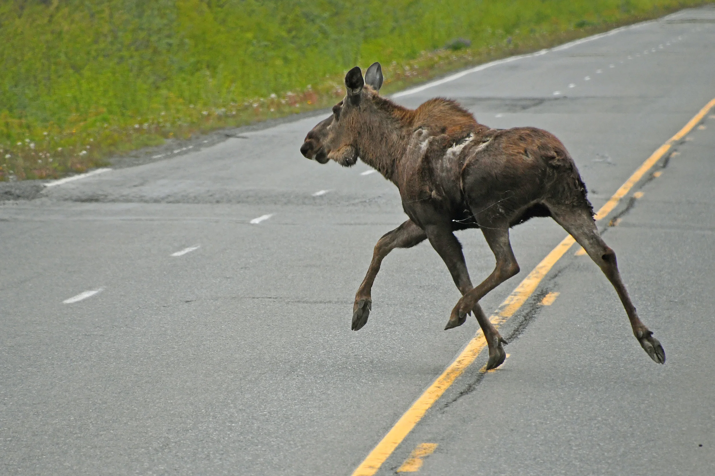 Valdez, Alaska