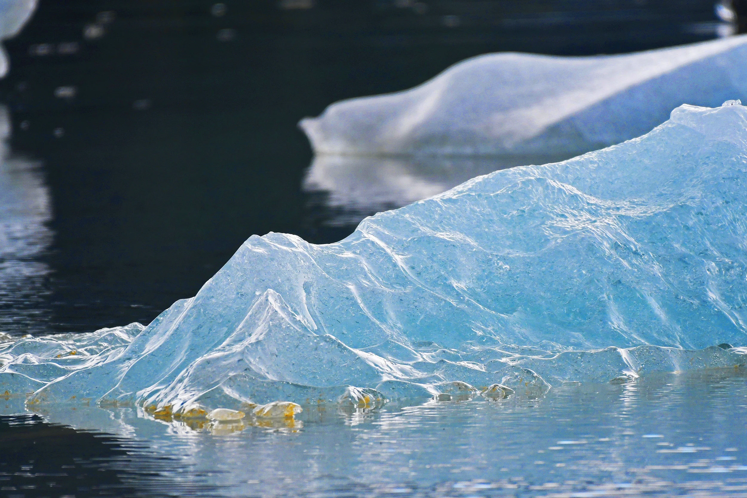 The Beauty of Ice