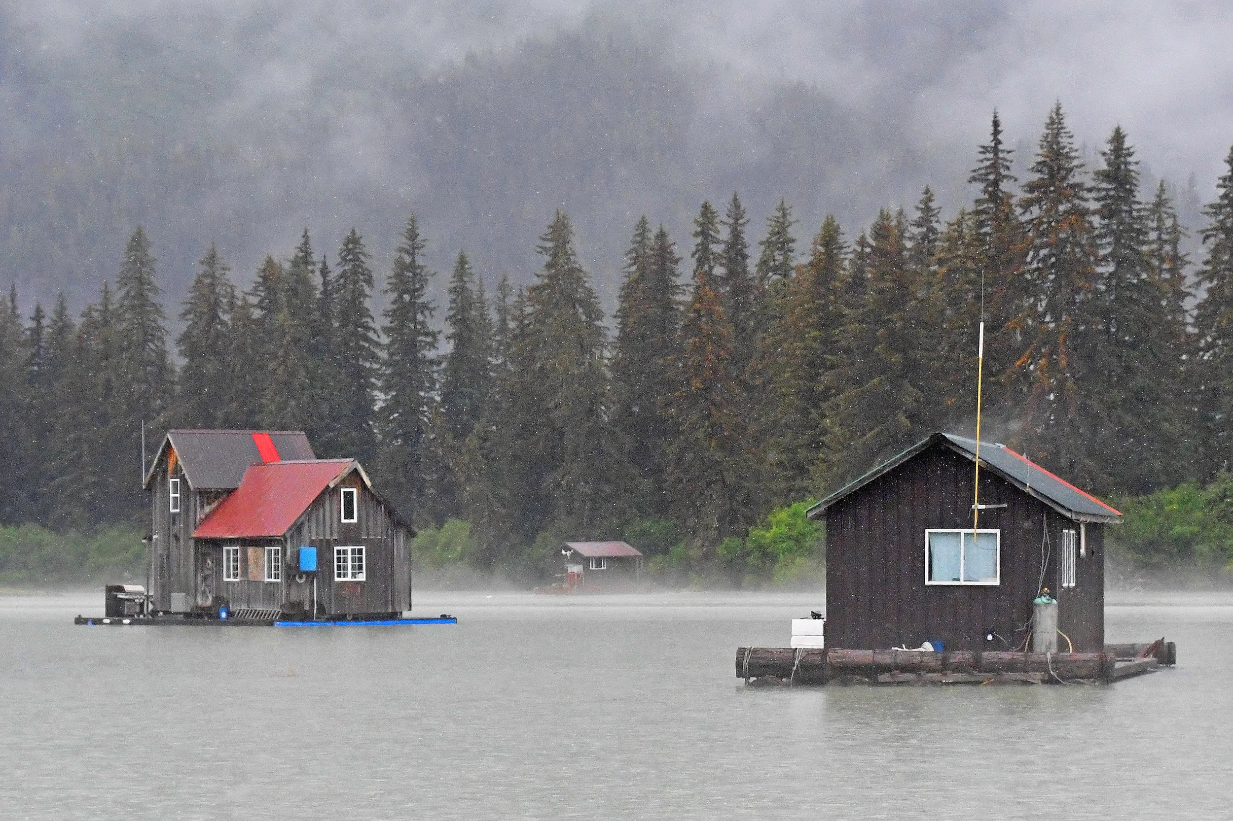 Stikine River near Wrangell, Alaska