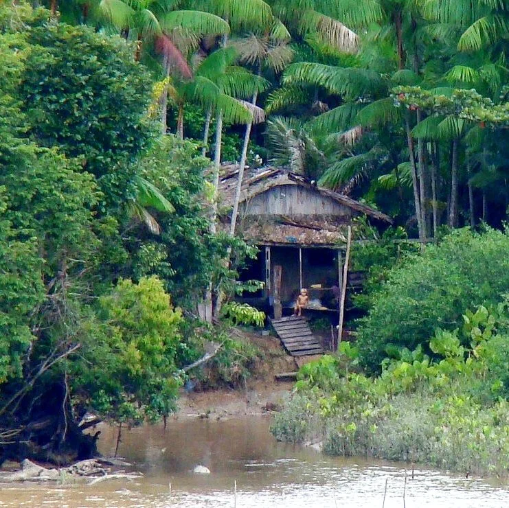  Typical home of the ribereños (River People). 