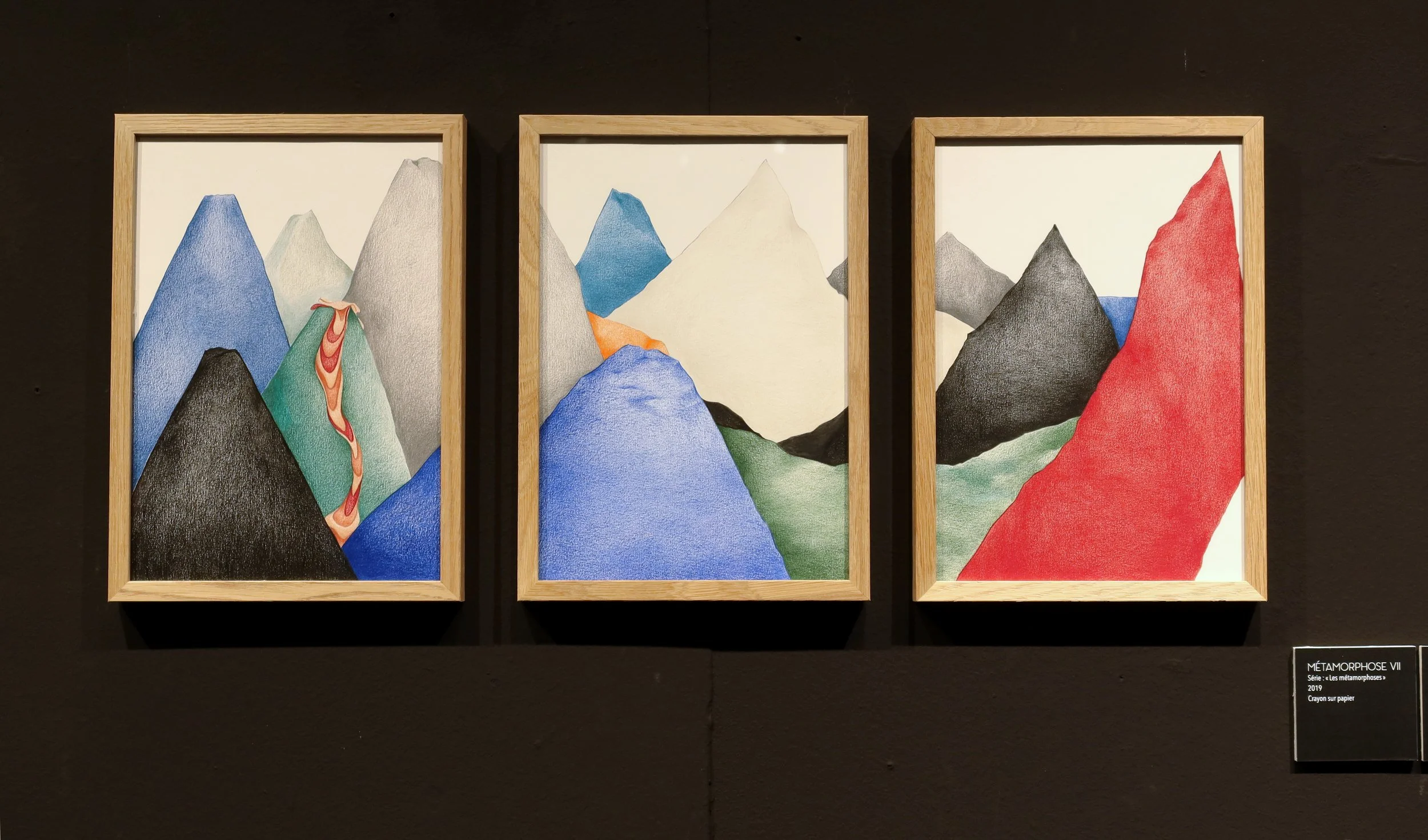 triptyque métamorphoses VII- VIII- IX, 2019