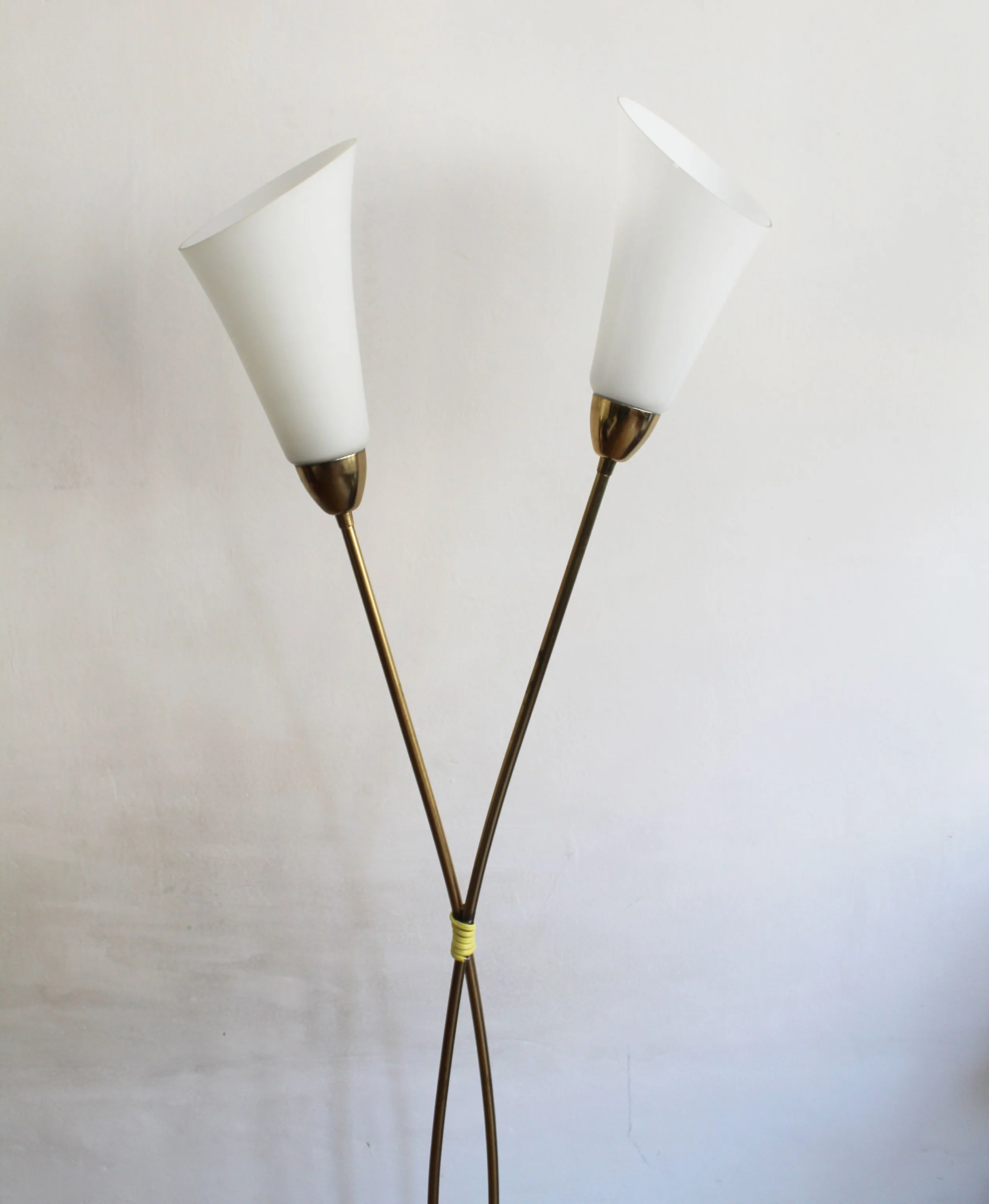Organic milk glass shades on mid-century floor lamp.jpg