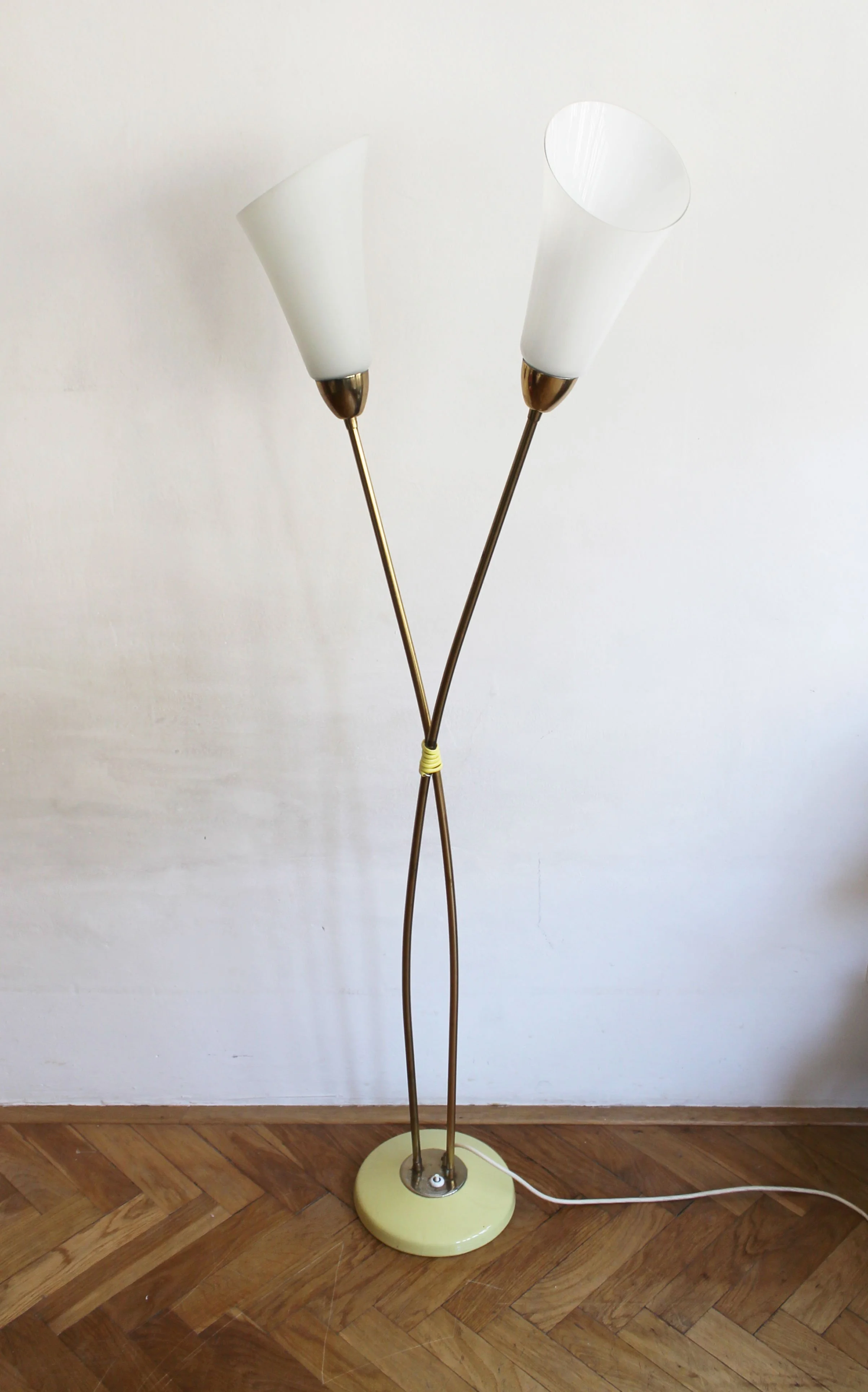 Elegant sculptural floor lamp with intersecting brass rods.jpg
