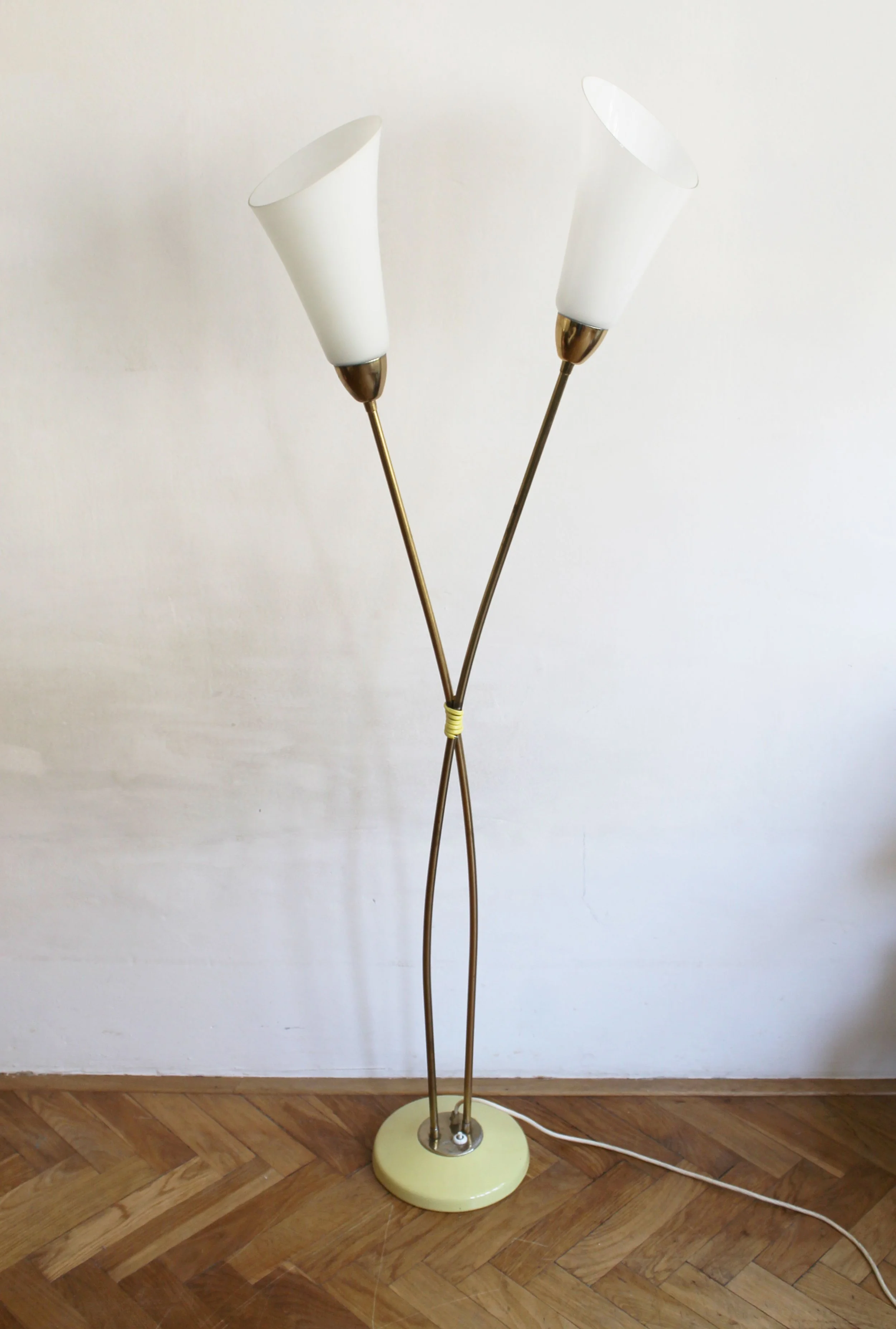 Mid-century modern brass floor lamp with organic glass shades.jpg