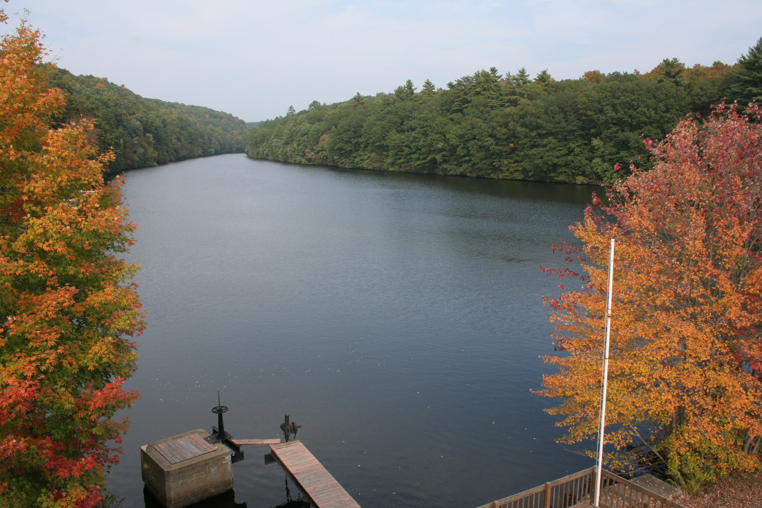 View of Hall's Pond from Roof.JPG