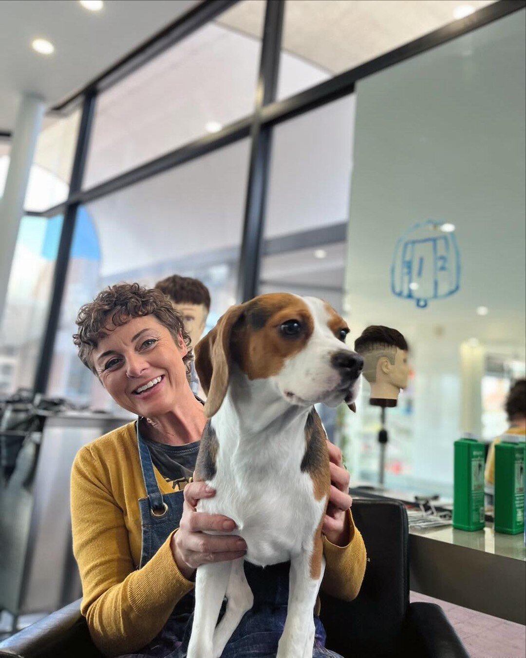 Just when you think in salon training can&rsquo;t get any better&hellip; Reggie was the star of the day, a very attentive student! 🐶

#salontraining #armidalesalon #puppiesofinstagram