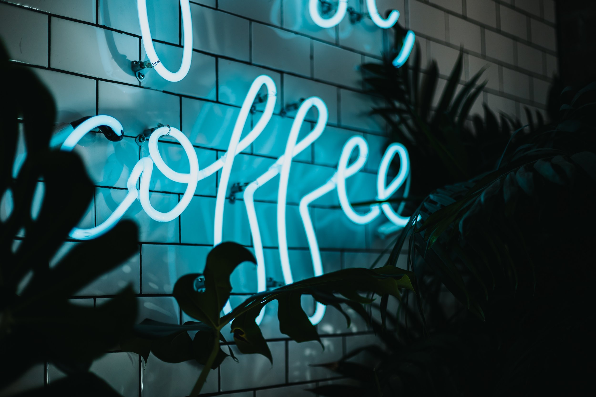 devin-avery-600577-unsplash.jpg