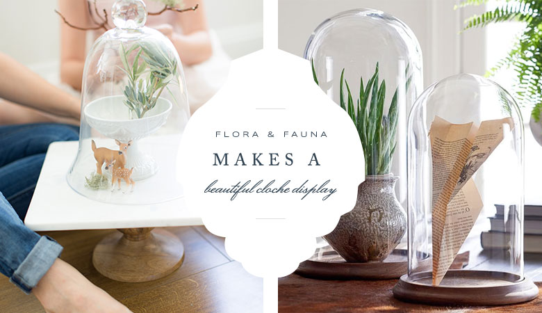 Glass Cloches from Pottery Barn