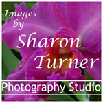 Images by Sharon Turner_New_Web.jpg