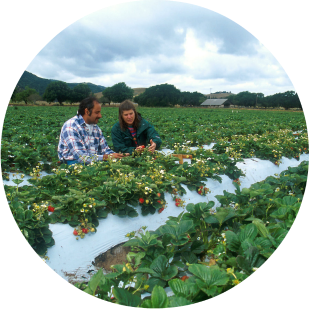 Farmers, used under public domain..png