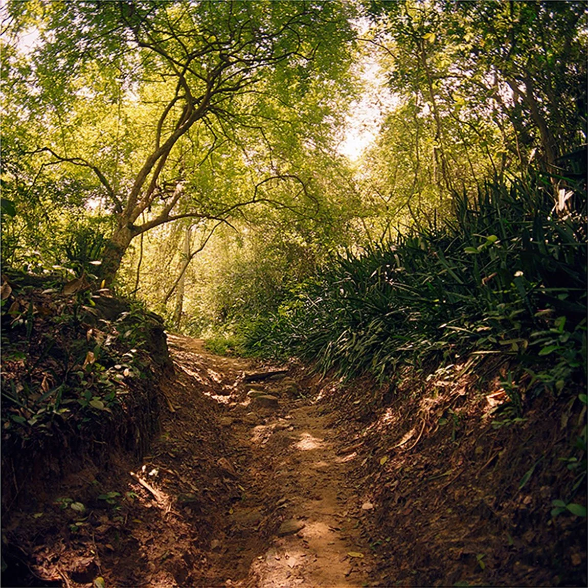 Caminos-reales-1.jpg