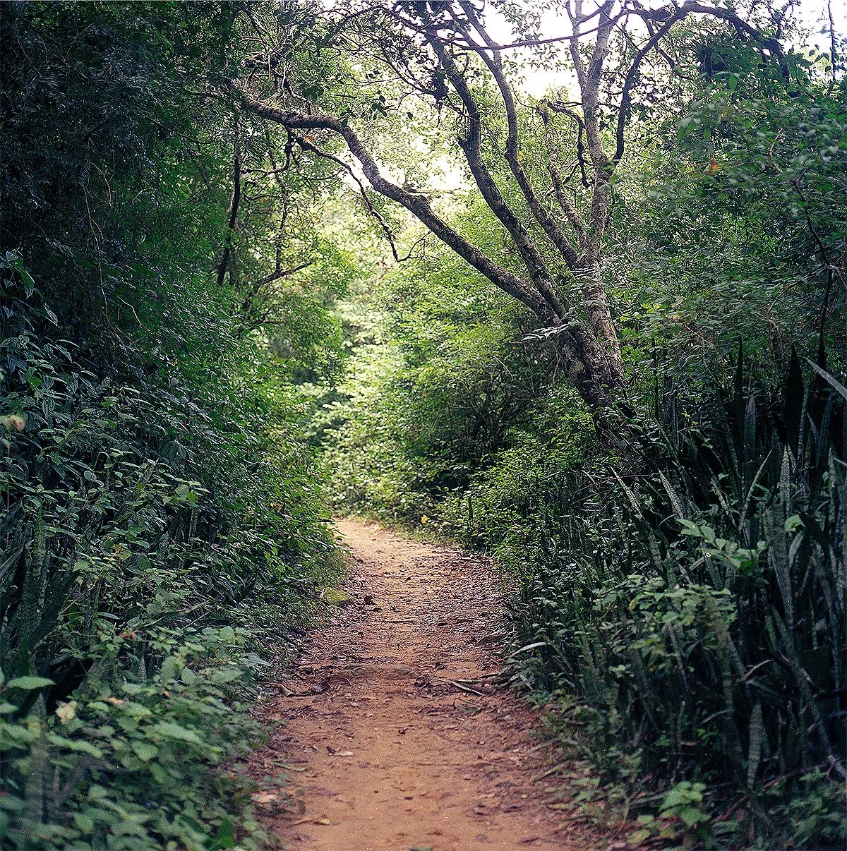 Camino-Real-2.jpg