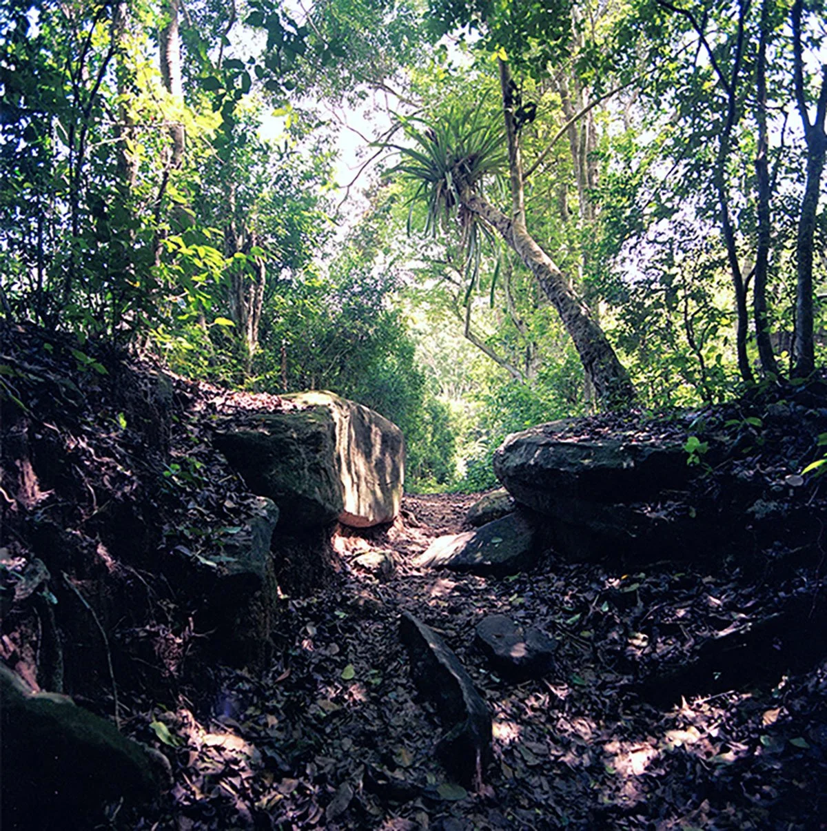 Camino-Real-03.jpg