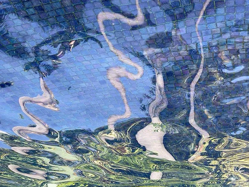 5-reflejos.jpg