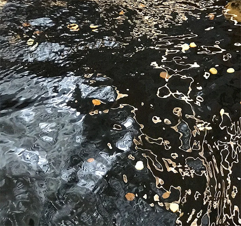 pond-copy.jpg