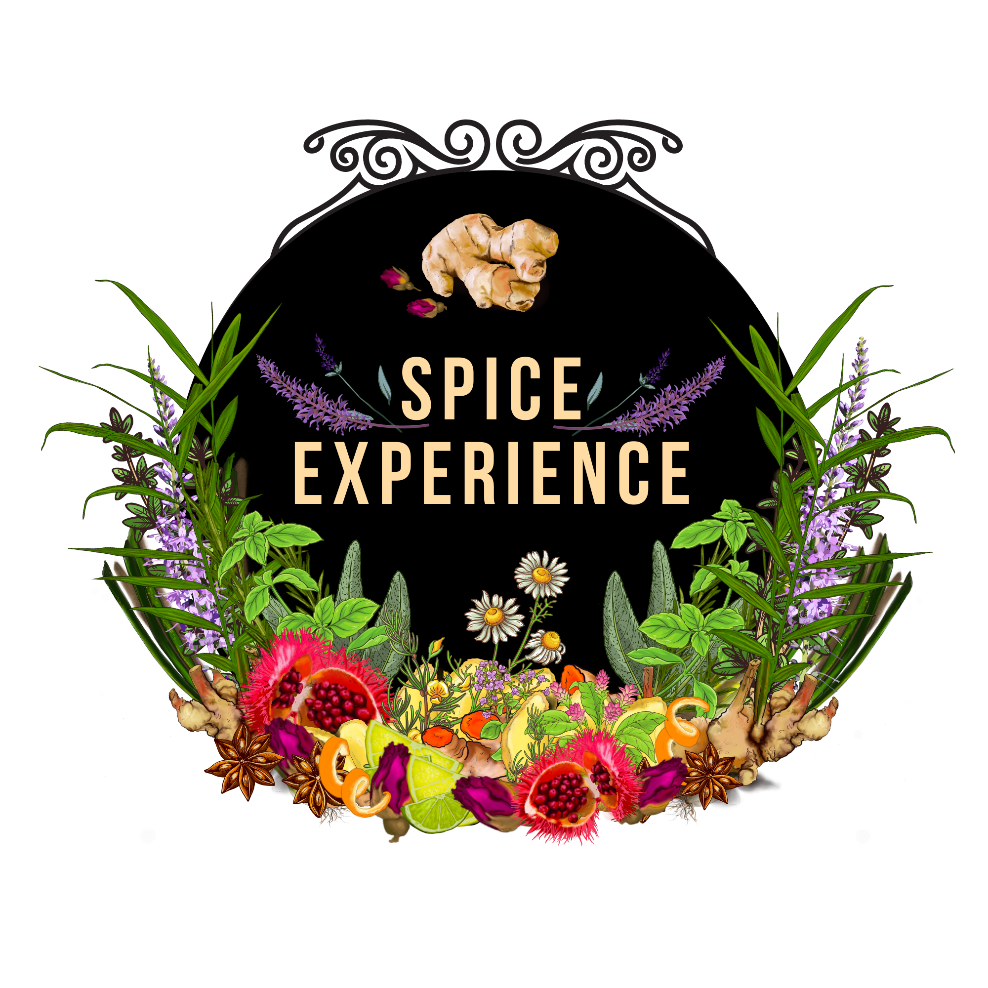 Logo_Spice Experience.jpg