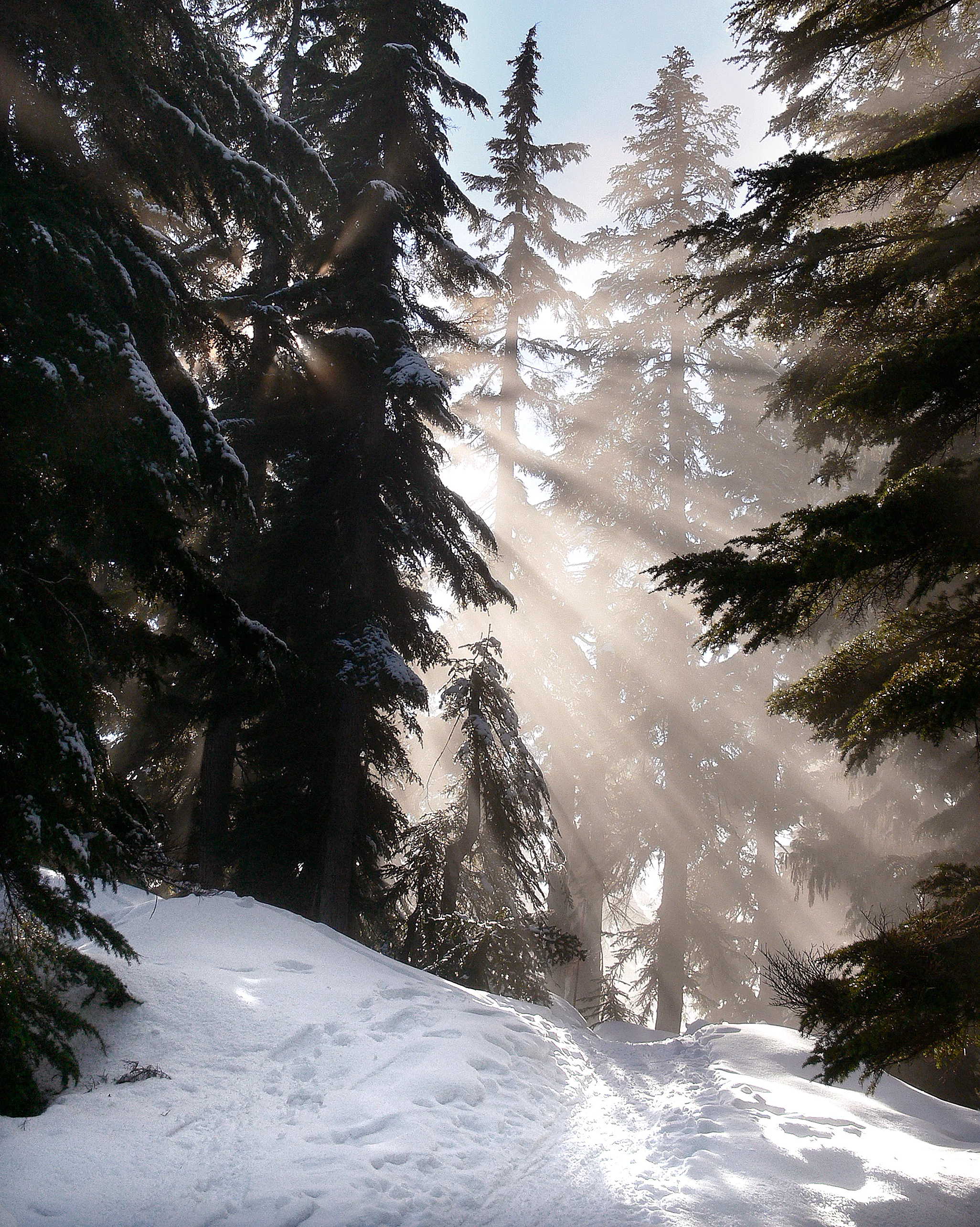  Stock Photo #321  Hollyburn Mountain 