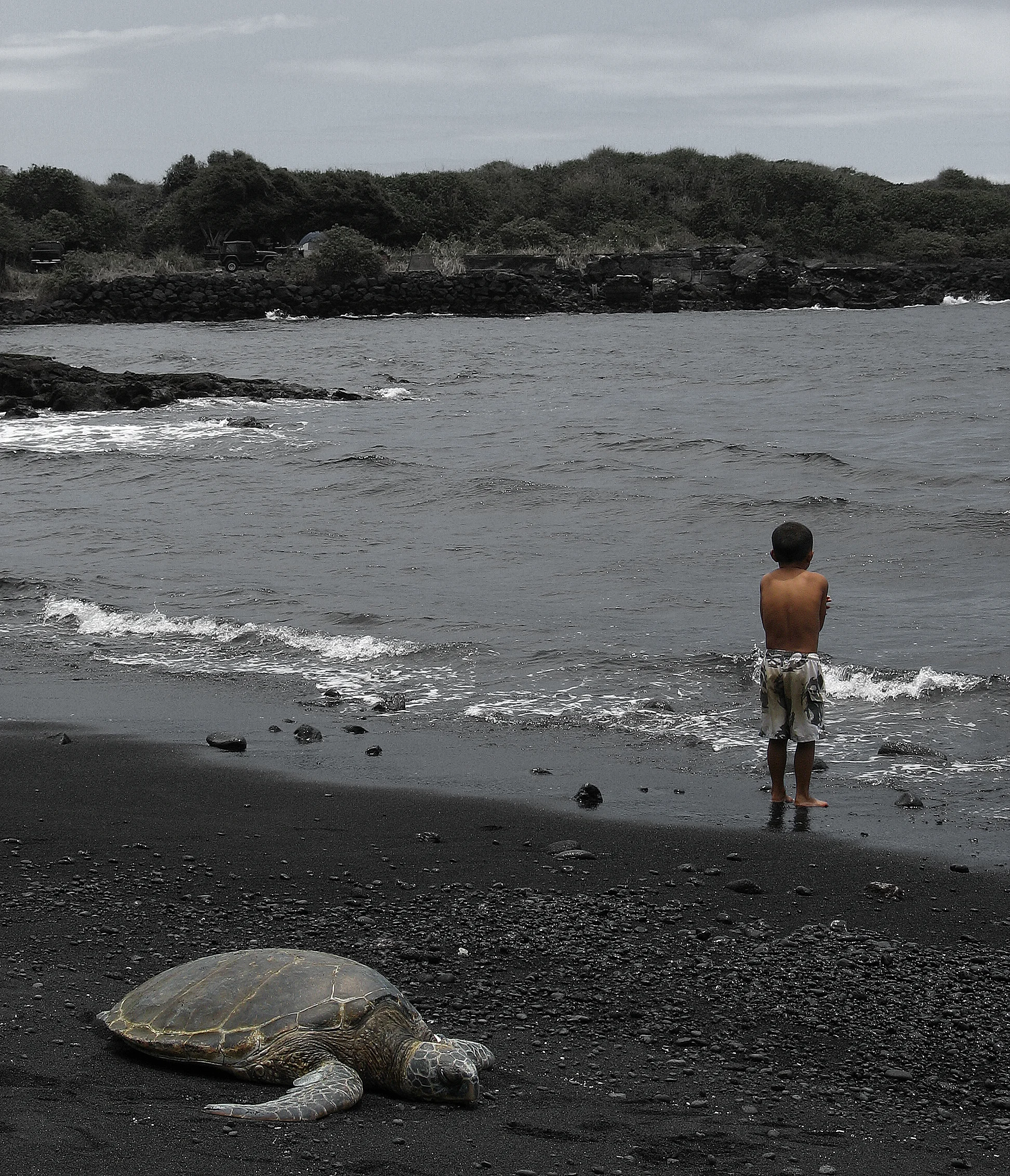  Stock Photo #603  Kona, &nbsp;Hawaii 