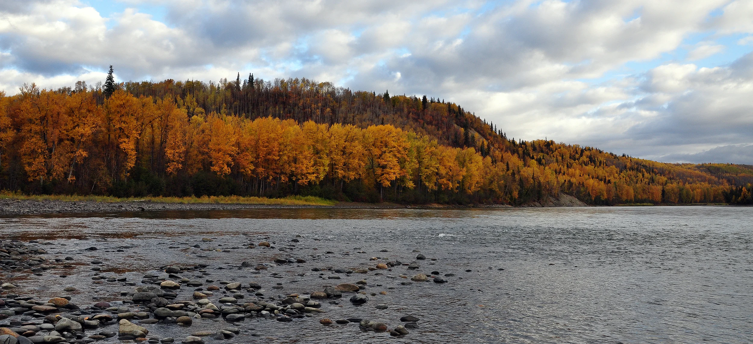  Stock Photo #330  Skeena River 