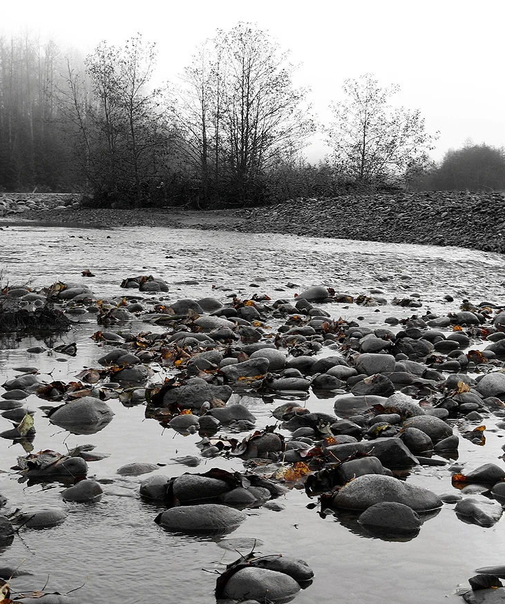 Stock Photo #337  Zymoetz River 