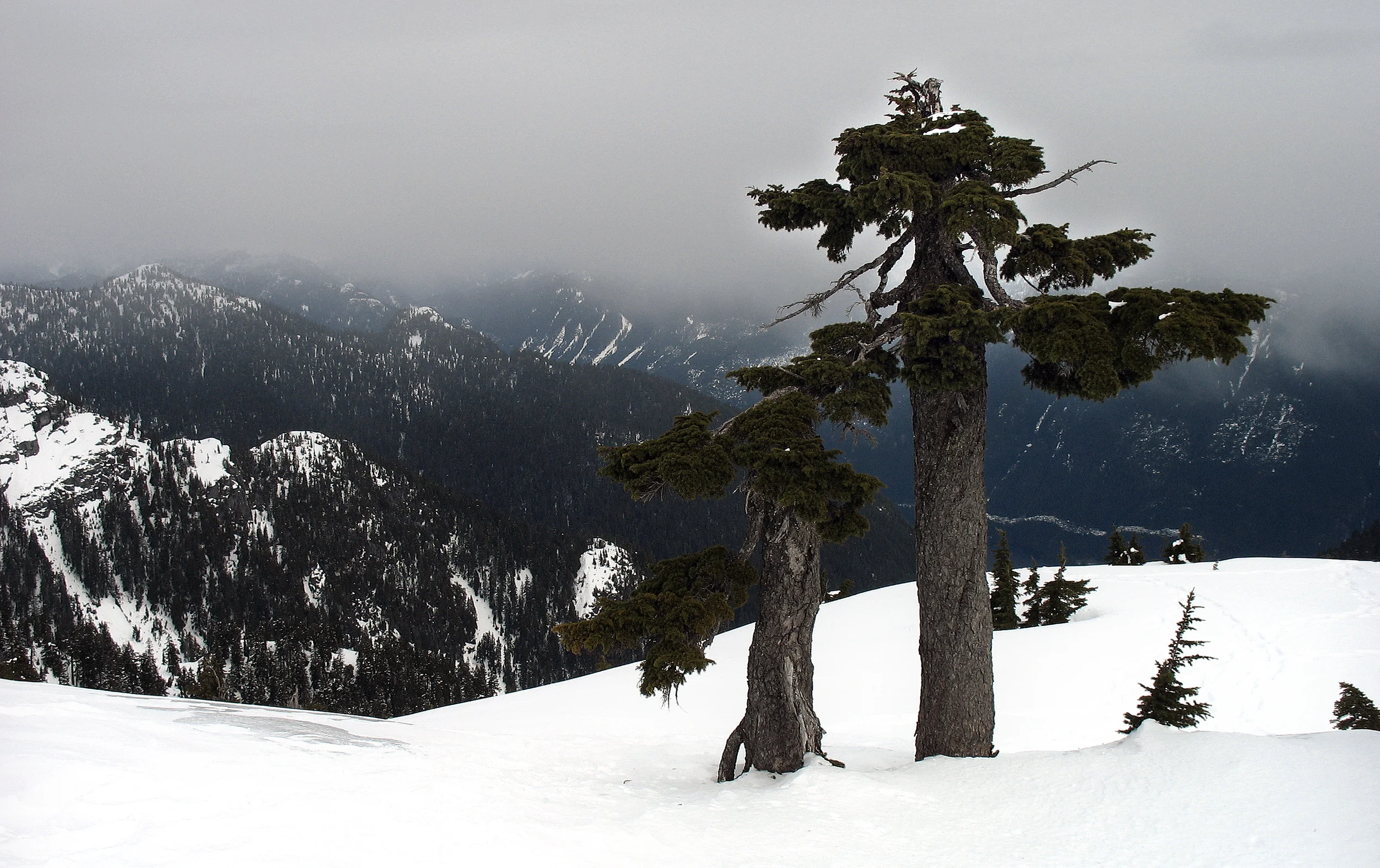  Stock Photo #340  Mount Seymour 