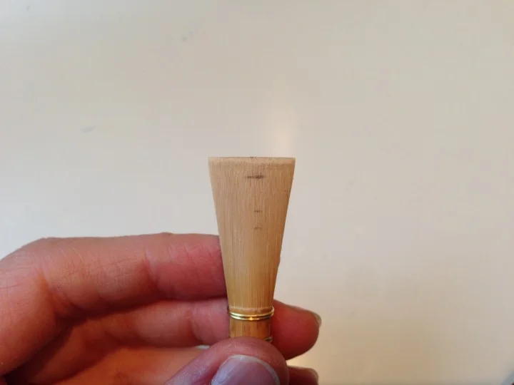 Sanding line visible across tip