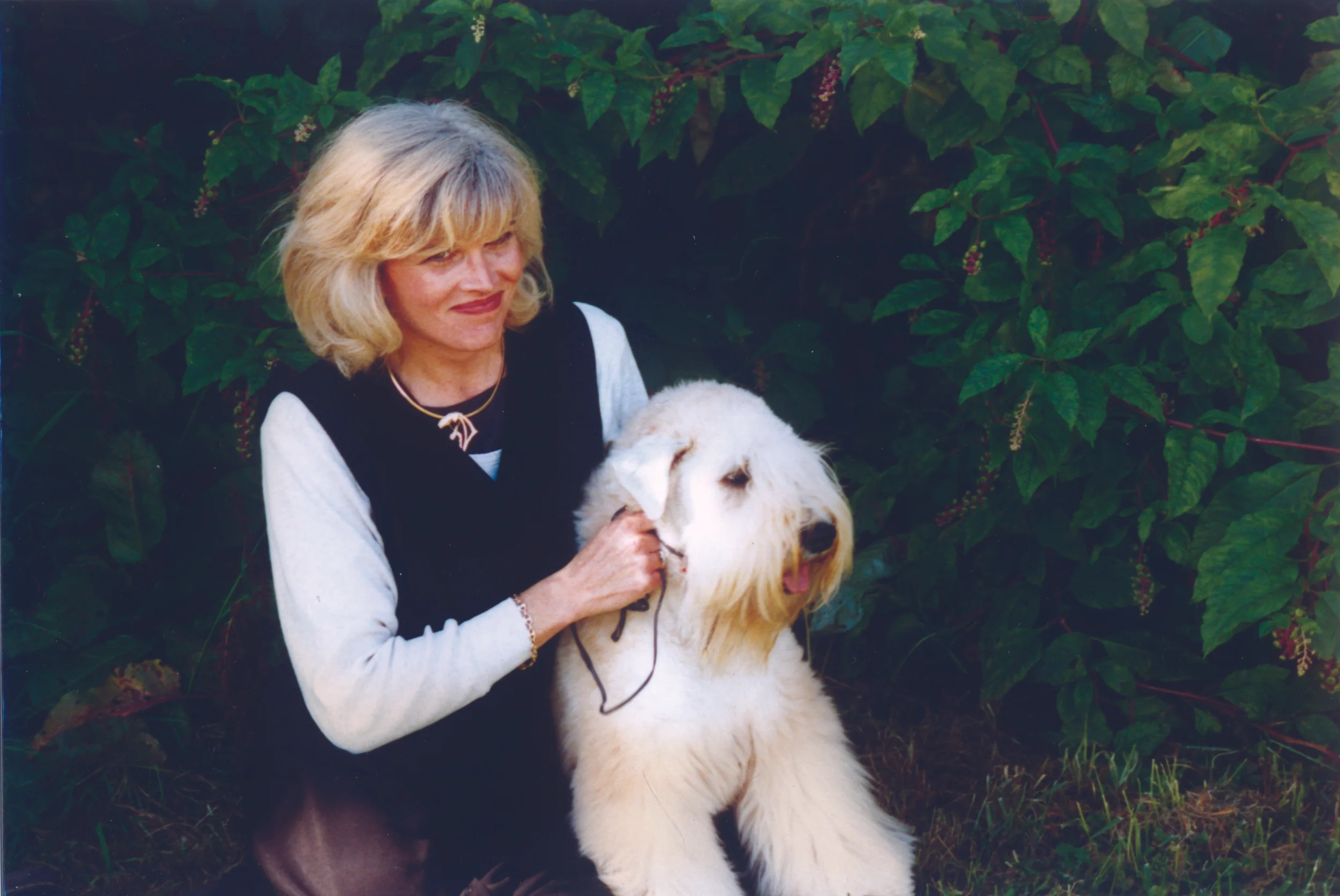 Yorkville, Dog Daycare, Grooming, Groom, Tire Biter, Playcare, Dog Walking, Kennel Free, Boarding, Toronto, Nancy, Wheaton
