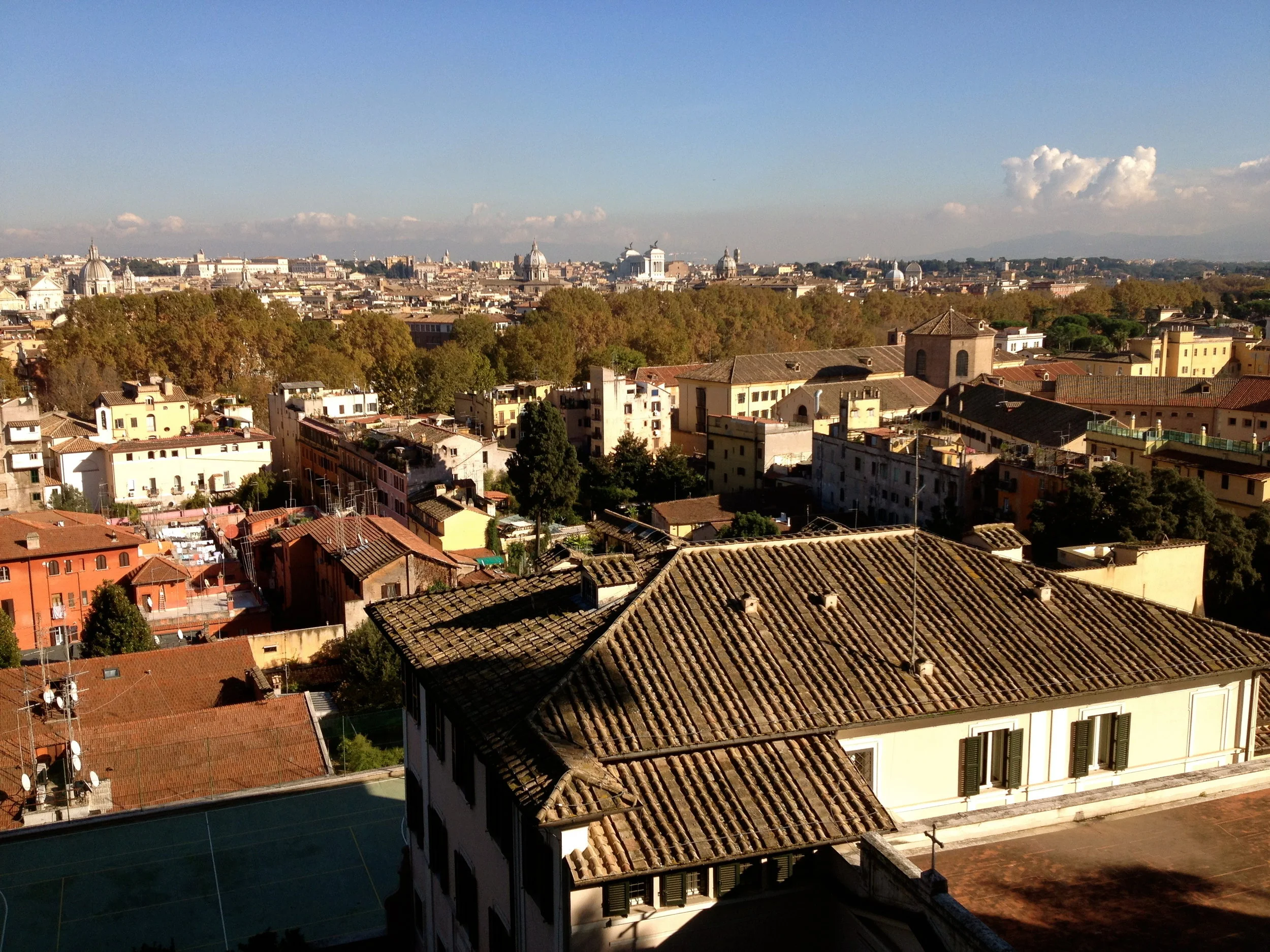 IMG_5626.jpg