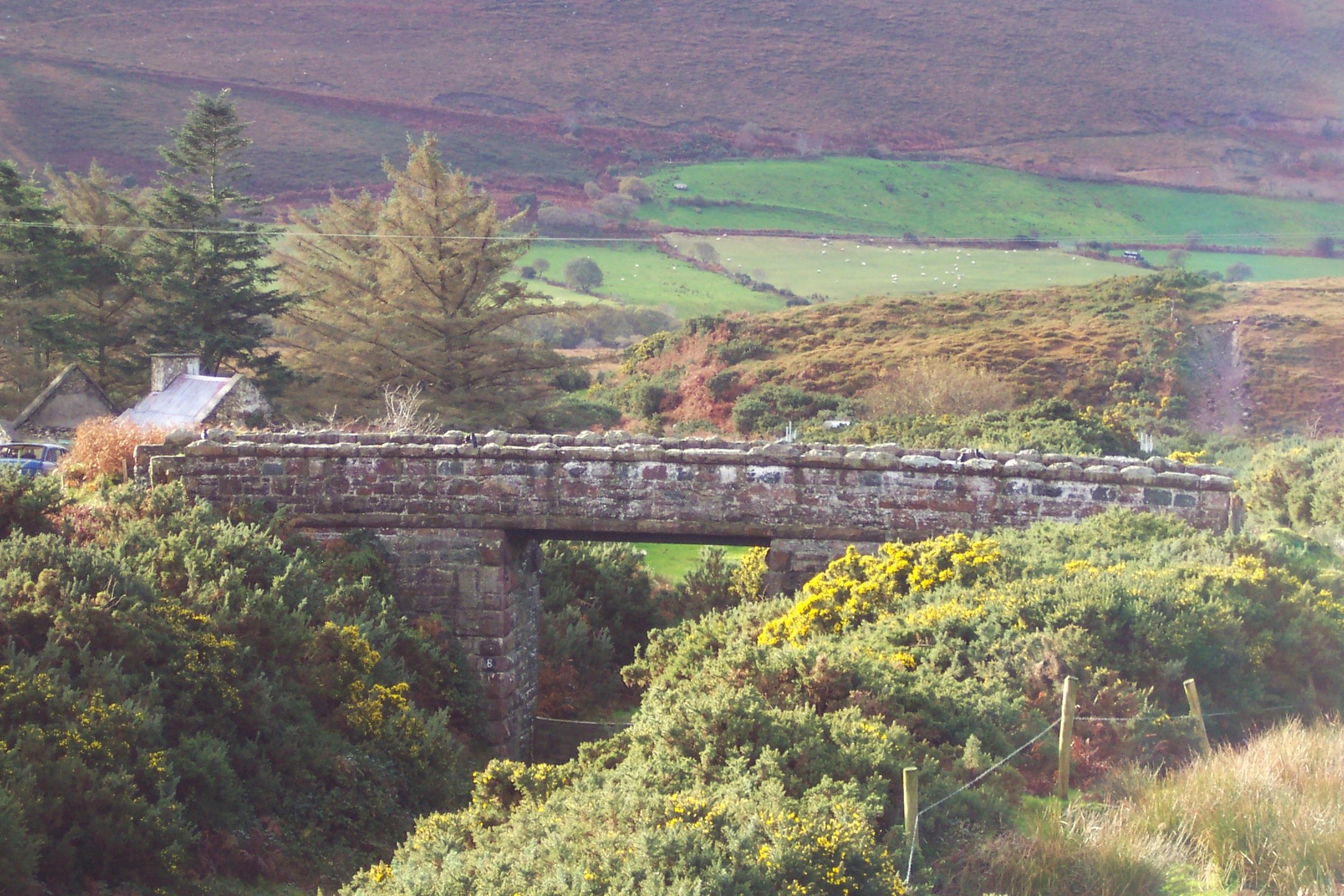 Ireland+Killarney+%2848%29.jpg