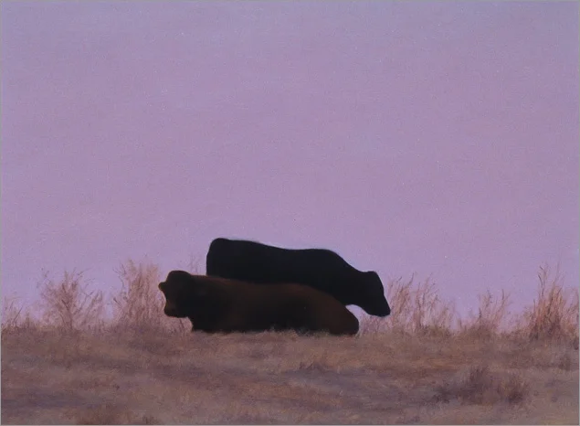 Two Cows at Hollister  6 x 8"  oil on panel  2007