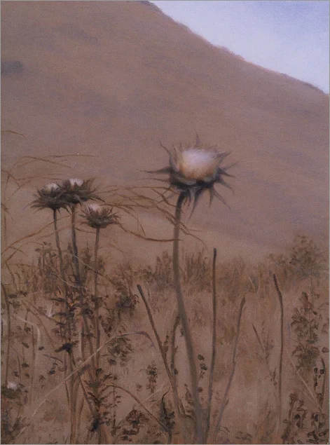 Thistles, Hollister Ranch  8 x 6"  oil on panel  2007