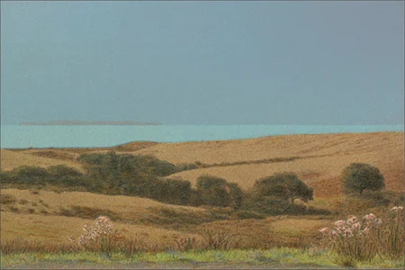 toward_san_miguel_island_lg.jpg